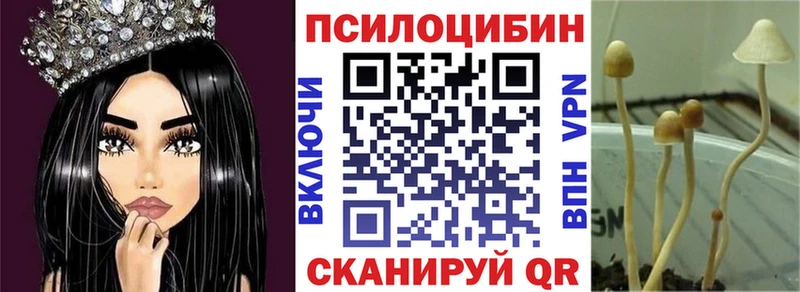 блэк спрут онион  Дивногорск  Галлюциногенные грибы мицелий  как найти закладки 