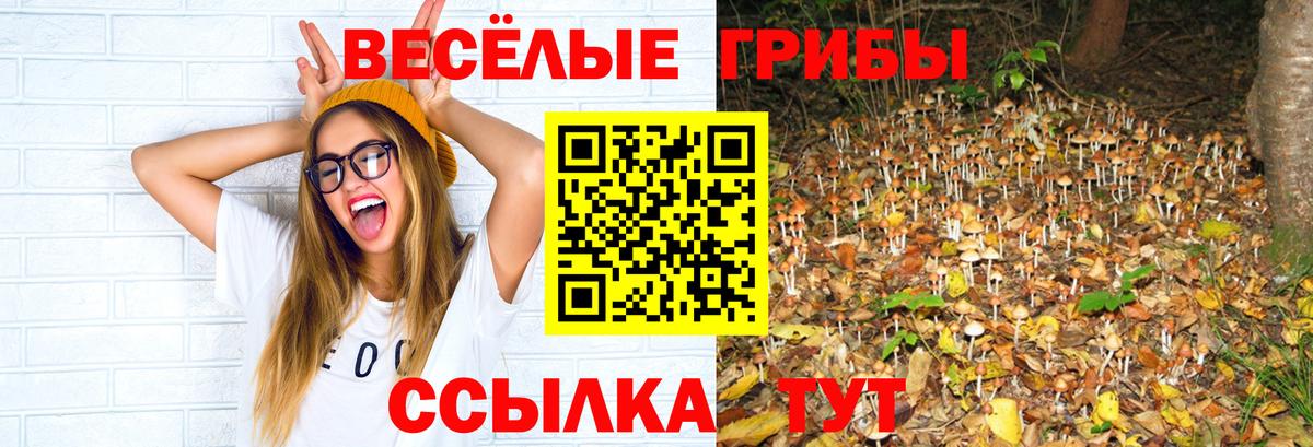 Галлюциногенные грибы мицелий Дивногорск