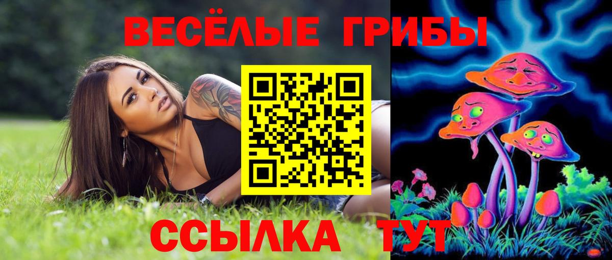 Дивногорск  Галлюциногенные грибы Psilocybe  купить наркотик  Вход с VPN 