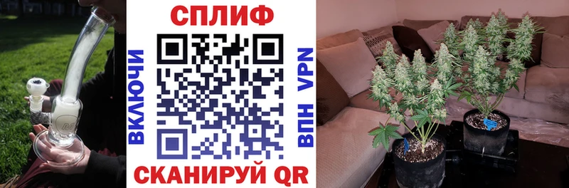 наркота Дивногорск kraken онион Шишки марихуана марихуана